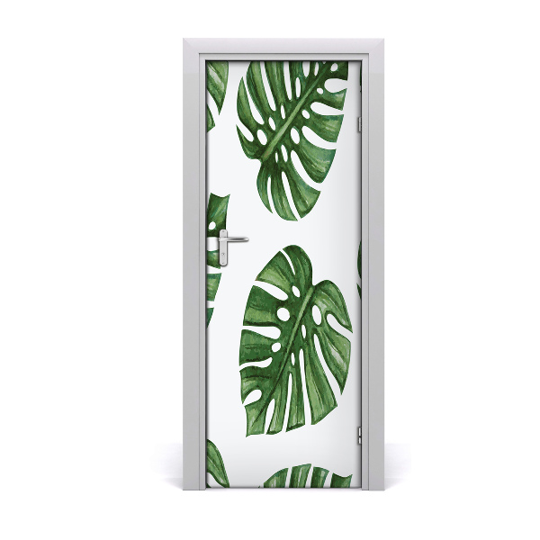 Fototapeta na dvere Monstera