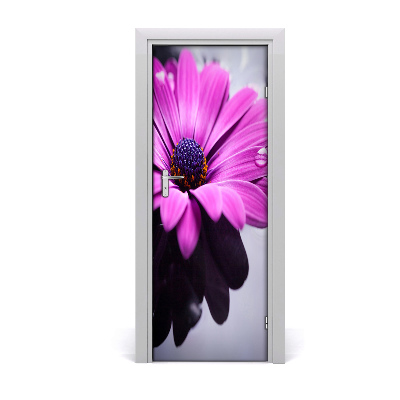 Fototapeta na dvere Ružová gerbera