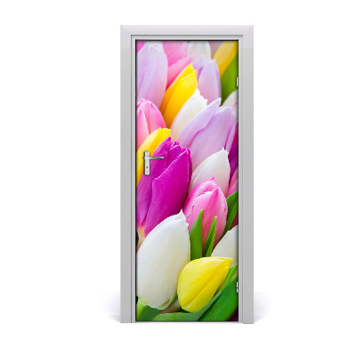 Fototapeta samolepiace na dvere Farebné tulipány