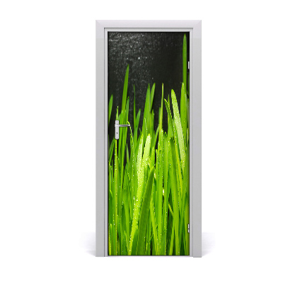 Fototapeta na dvere Tráva