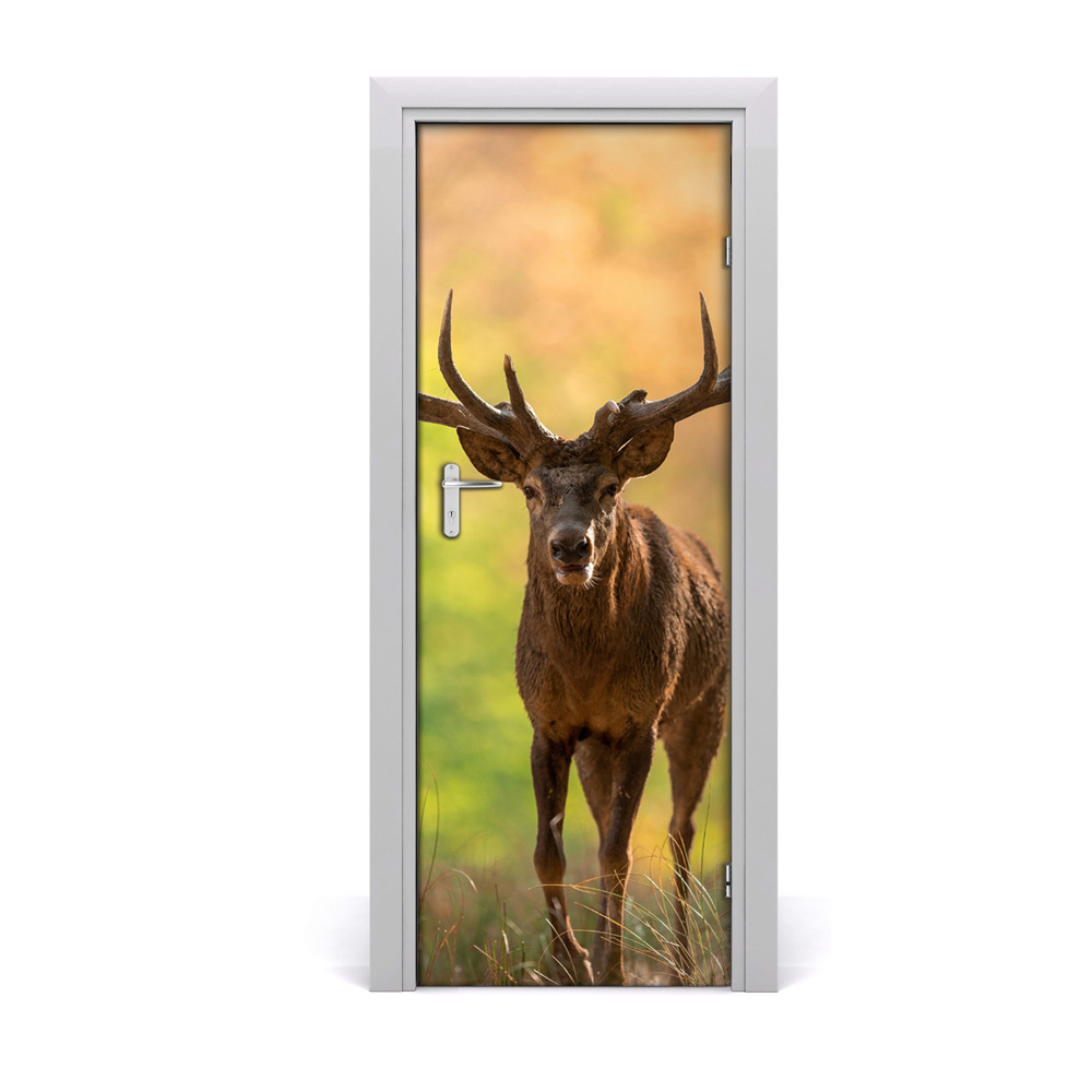 Fototapeta samolepiace na dvere Jeleň v lese