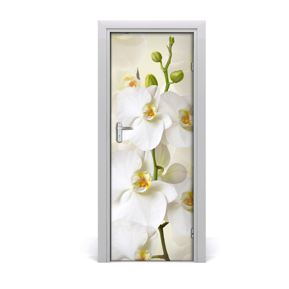 Fototapeta samolepiace na dvere Biela orchidea