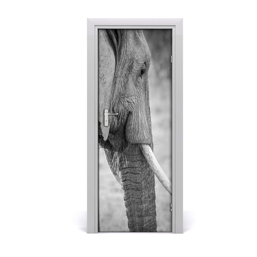 Fototapeta na dvere Slon