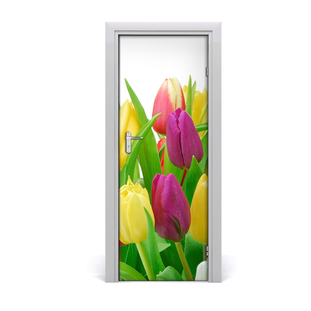 Fototapeta na dvere Kvety tulipánov