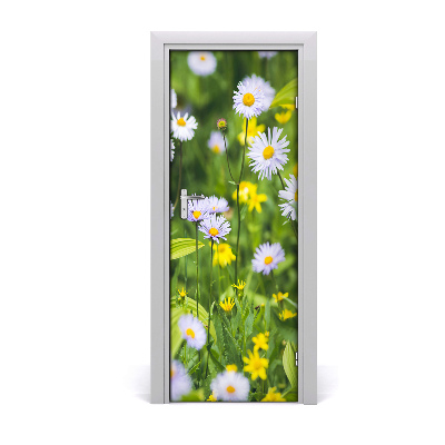 Fototapeta samolepiace na dvere Sedmokrásky na lúke