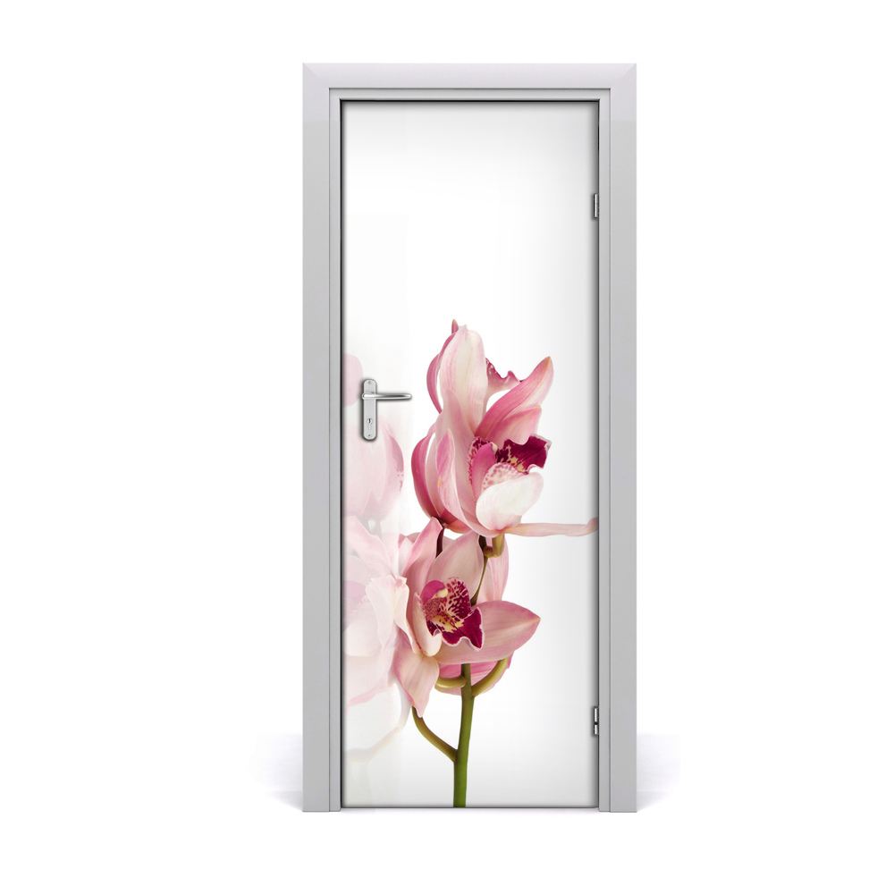 Fototapeta samolepiace na dvere Ružová orchidea