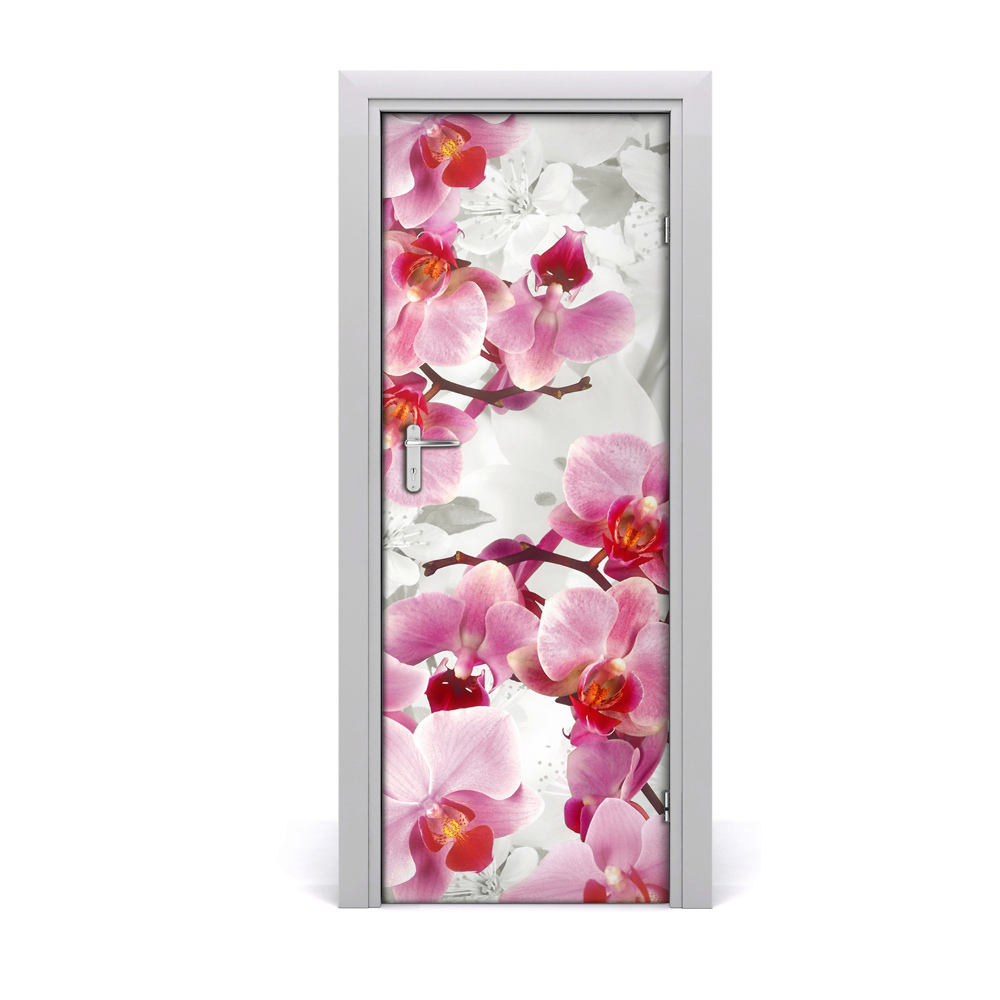 Fototapeta na dvere Ružová orchidea
