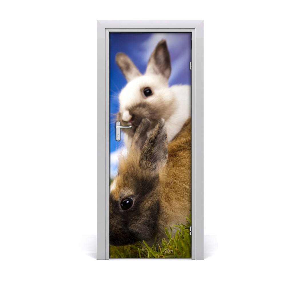 Fototapeta na dvere Králiky