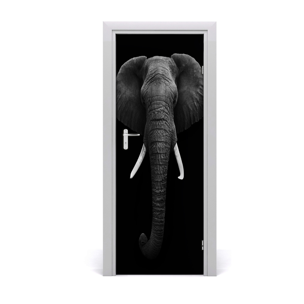 Fototapeta samolepiace na dvere Slon africký
