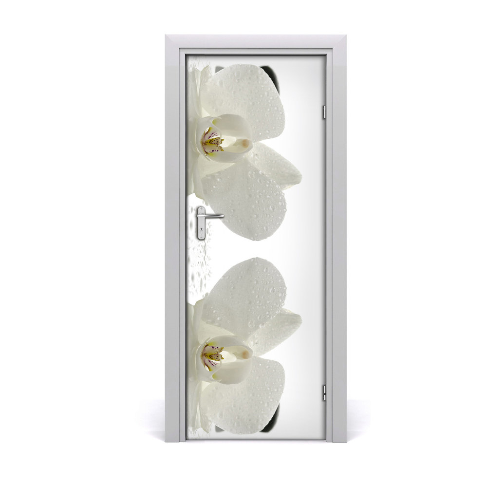 Fototapeta na dvere Orchidea a kamene