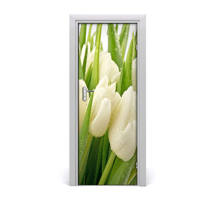 Fototapeta samolepiace na dvere Biele tulipány