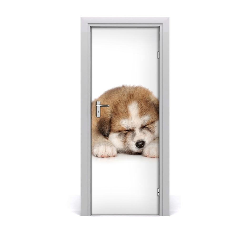 Fototapeta na dvere Šteňa