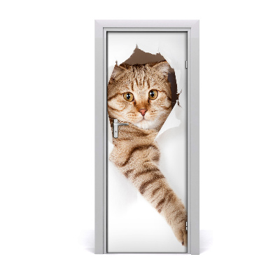 Fototapeta samolepiace na dvere Mačka