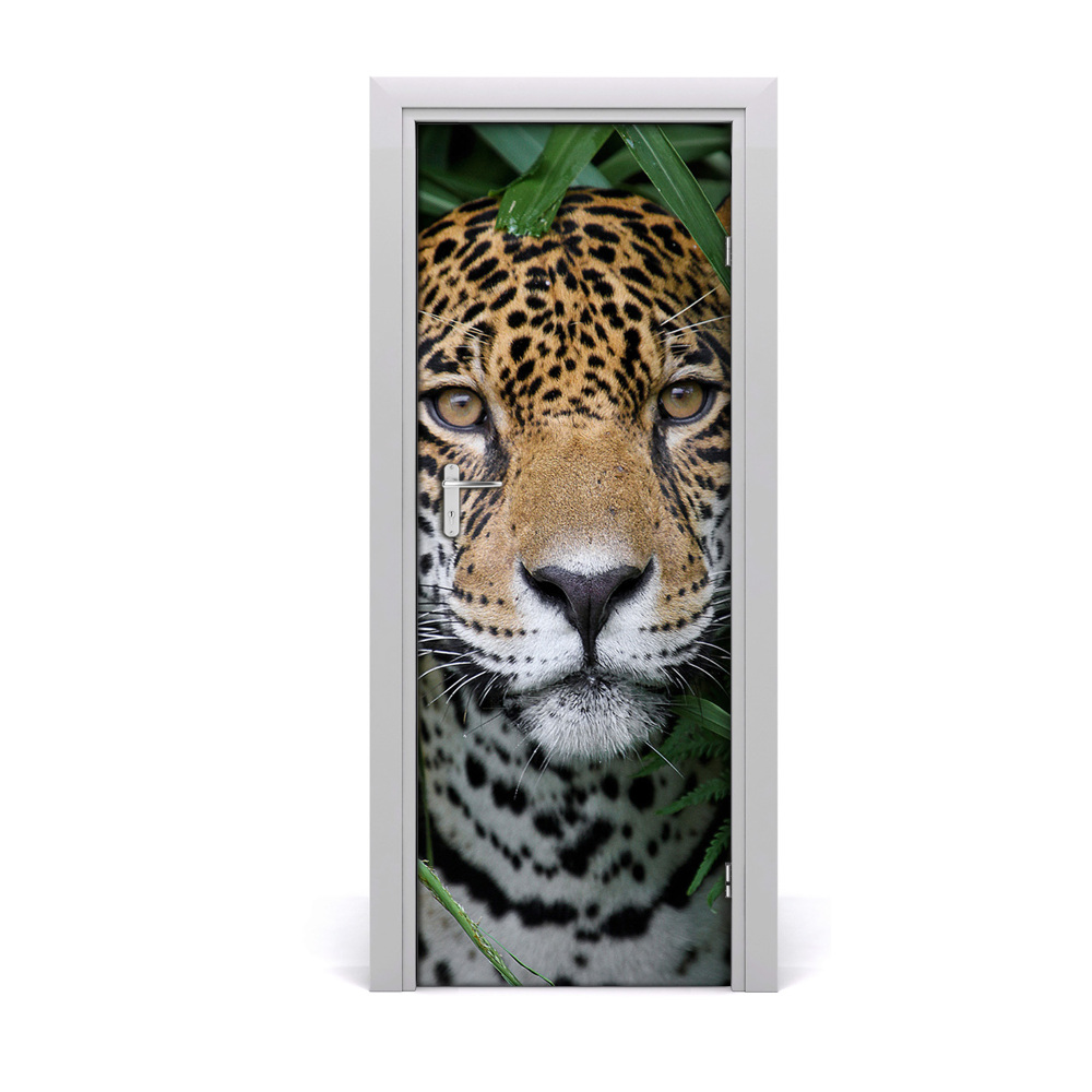 Fototapeta na dvere Jaguár v džungli