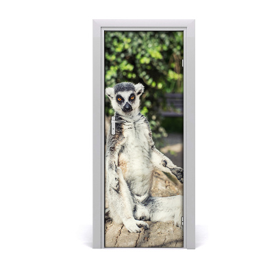 Fototapeta na dvere Lemur