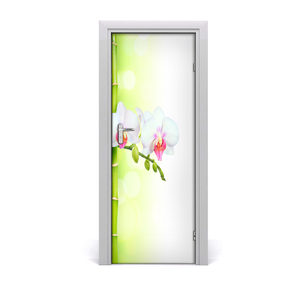 Fototapeta na dvere Bambusová orchidea