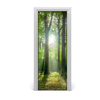 Fototapeta samolepiace na dvere Slnko v lese