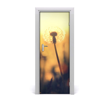 Fototapeta na dvere Púpava