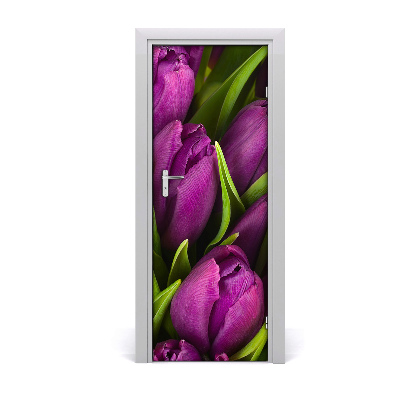 Fototapeta na dvere Fialové tulipány