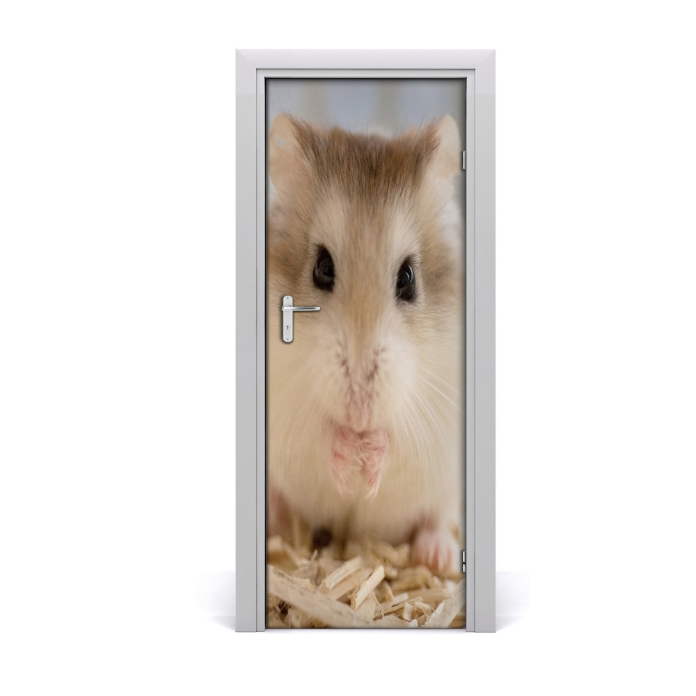 Fototapeta na dvere Škrečok