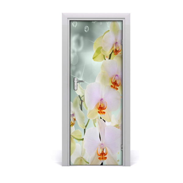 Fototapeta samolepiace na dvere Kvet orchidey