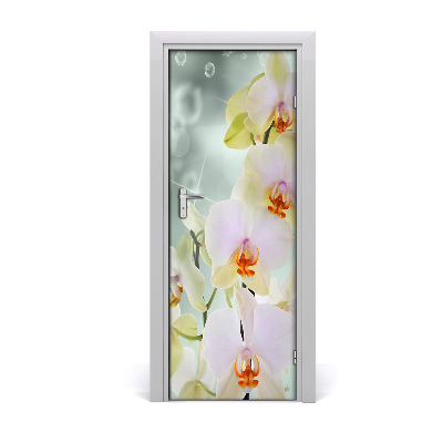 Fototapeta samolepiace na dvere Kvet orchidey