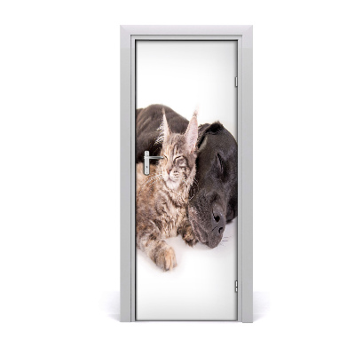 Fototapeta na dvere Pes a mačka