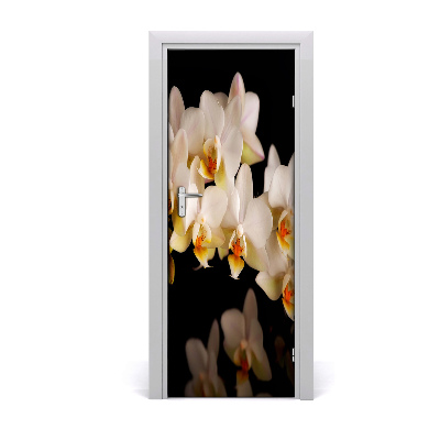 Fototapeta samolepiace na dvere Orchidea