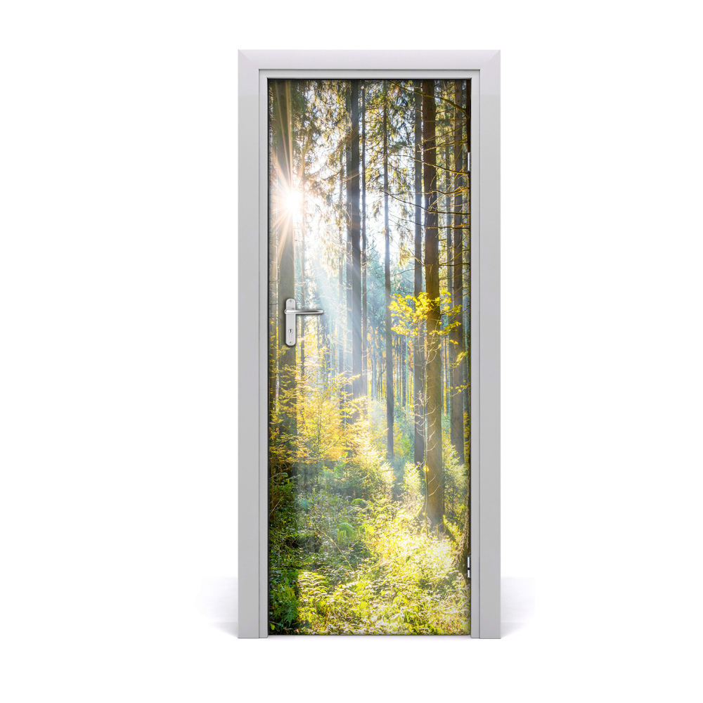 Fototapeta samolepiace na dvere Slnko medzi stromami
