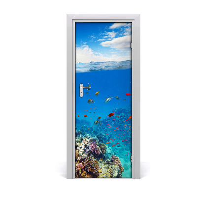 Fototapeta samolepiace na dvere Koralový útes ryby