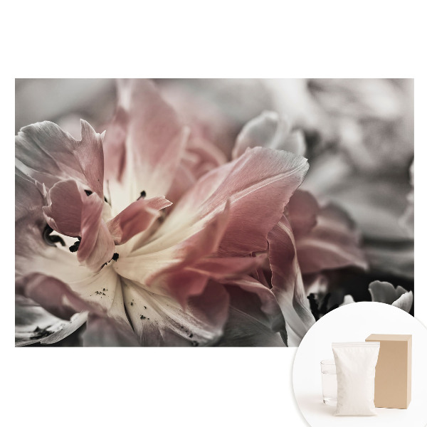 Fototapeta s potlačou na netkanej textílii Detailný záber na jemné kvetinové lupienky