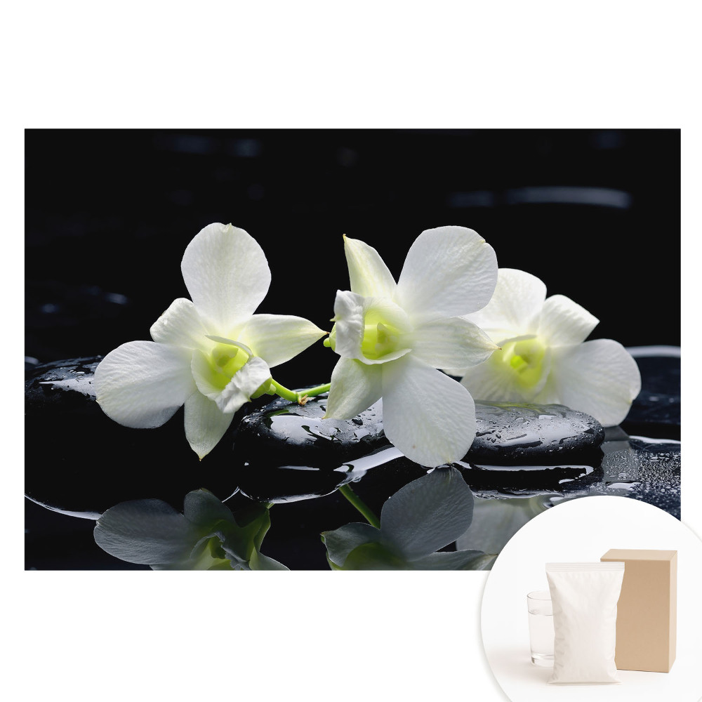 Fototapeta na netkanej textílii Biele orchidey na kameňoch.