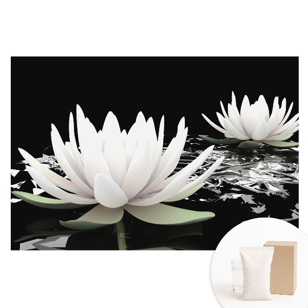 Netkaná fotografická tapeta Elegantné lekná na tmavom pozadí