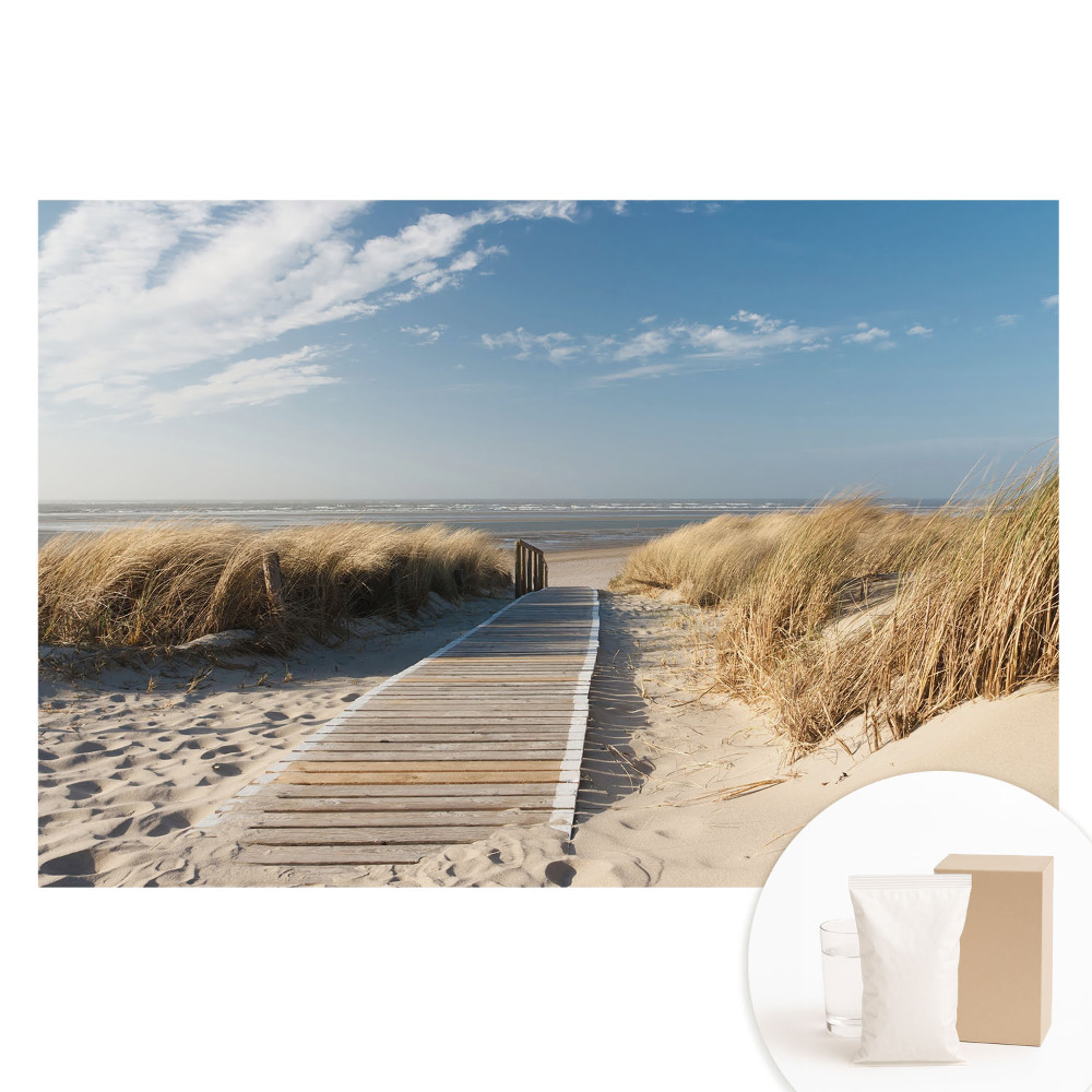 Netkaná tapeta s potlačou Prímorský chodník medzi dunami