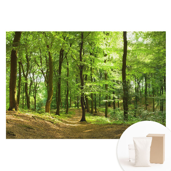 Fototapeta na netkanej textílii Čerstvý zelený les