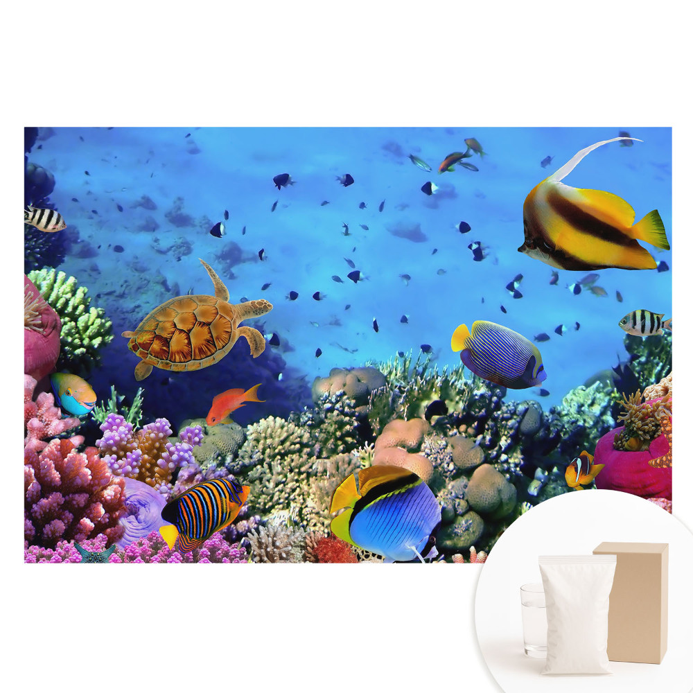 Netkaná fotografická tapeta Podvodný svet plný farieb