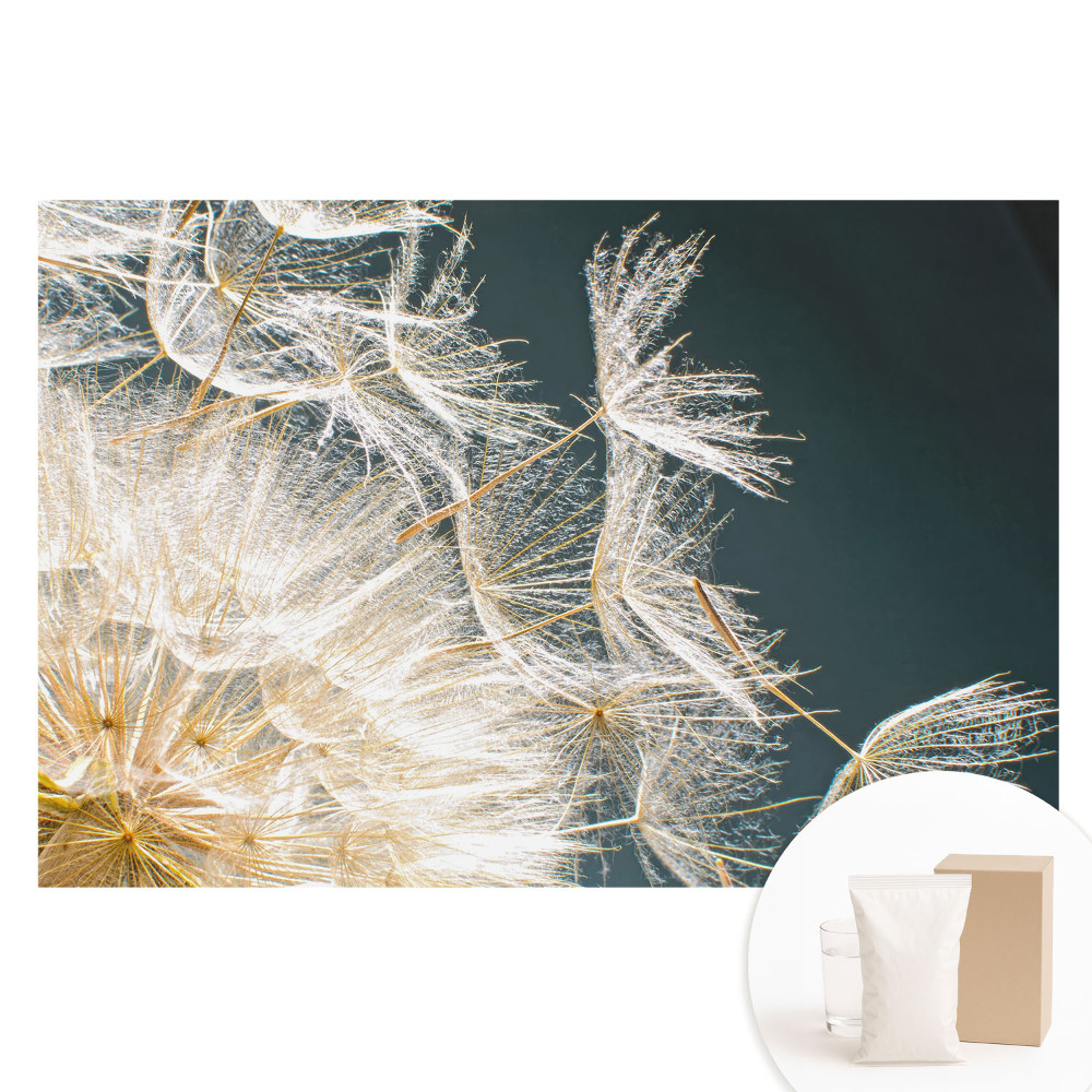 Fototapeta s potlačou na netkanej textílii Éterické semená krehkej púpavy