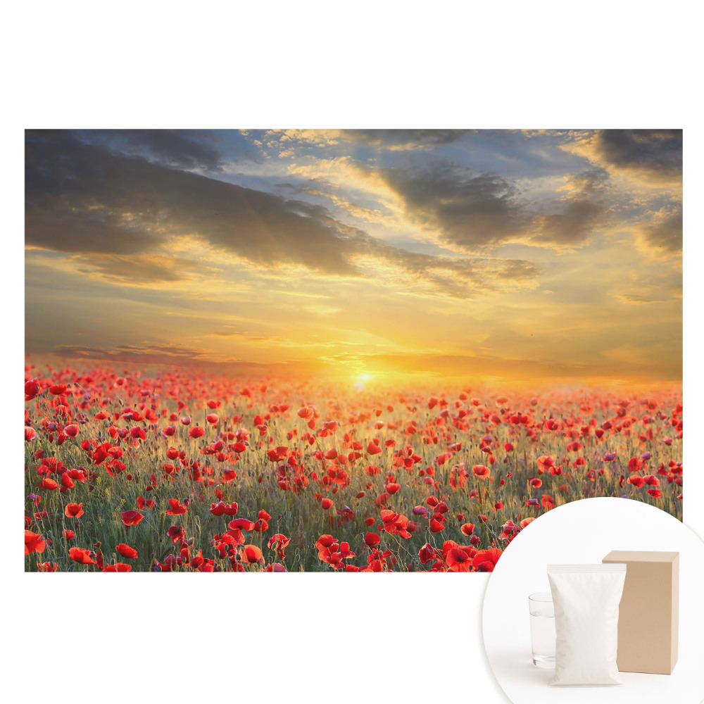 Netkaná fotografická tapeta Ranné pole makov, úžasný západ slnka