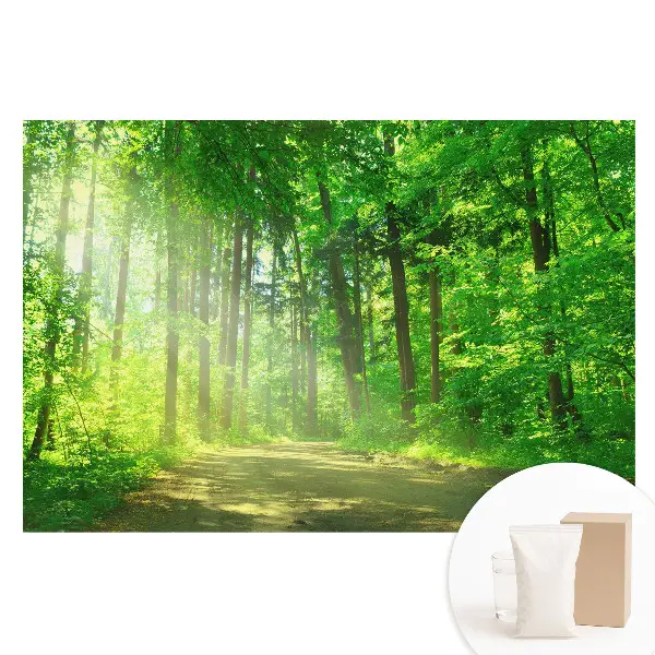 Fototapeta na vliese Zelený les so slnkom