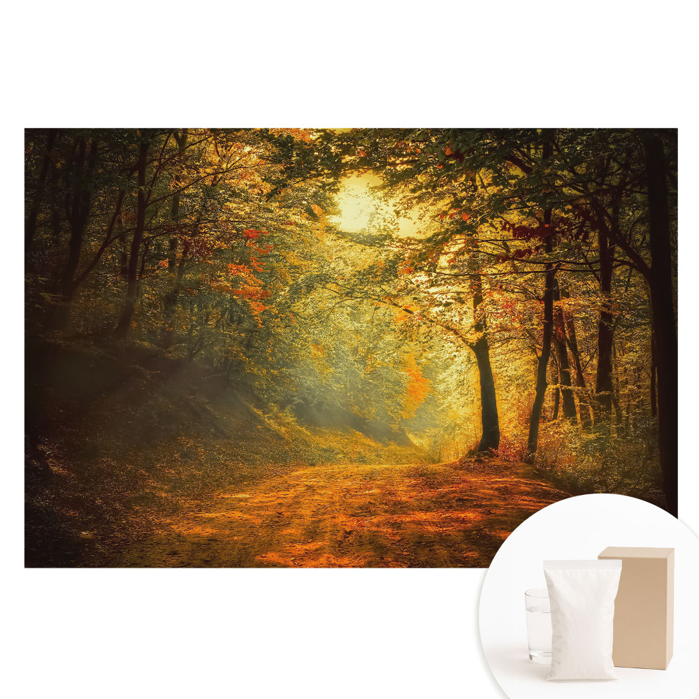 Netkaná tapeta Kúzlo jesenného lesa