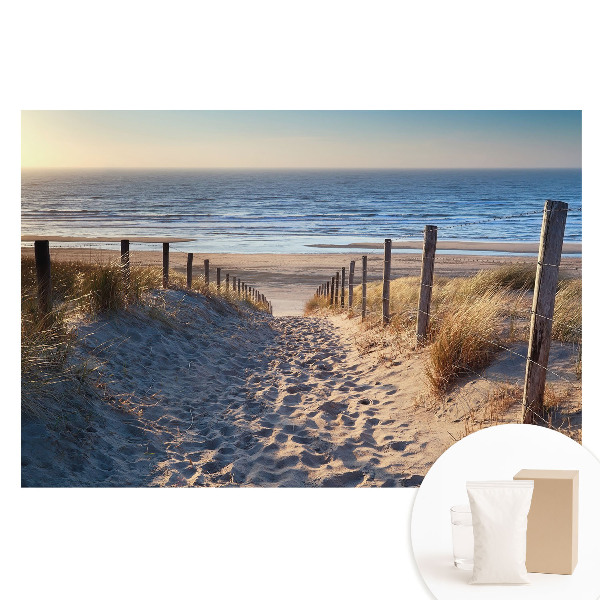Veľkoplošná fototapeta na stenu Cesta cez duny k moru