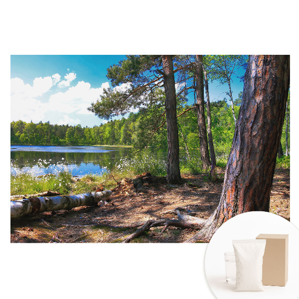 Netkaná fotografická tapeta Lesná krajina pri jazere, prírodný pokoj