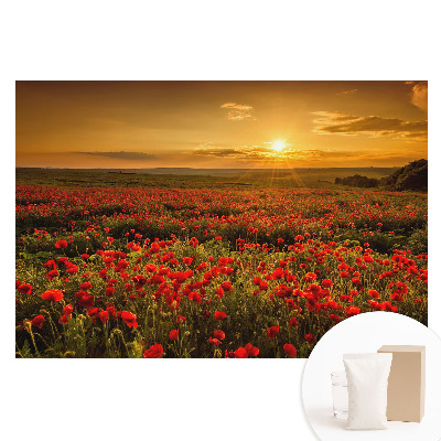 Fotografická tapeta na netkanej textílii Západ slnka v makovom poli