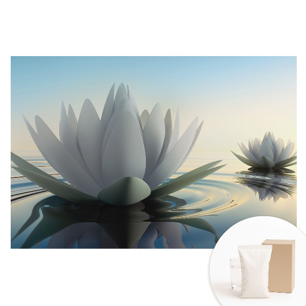 Fototapeta na netkanej textílii Jemné lekná, vodná harmónia