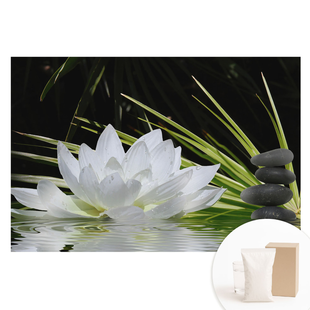 Veľkoplošná fototapeta na stenu Meditácia s kameňmi bielych ľalií