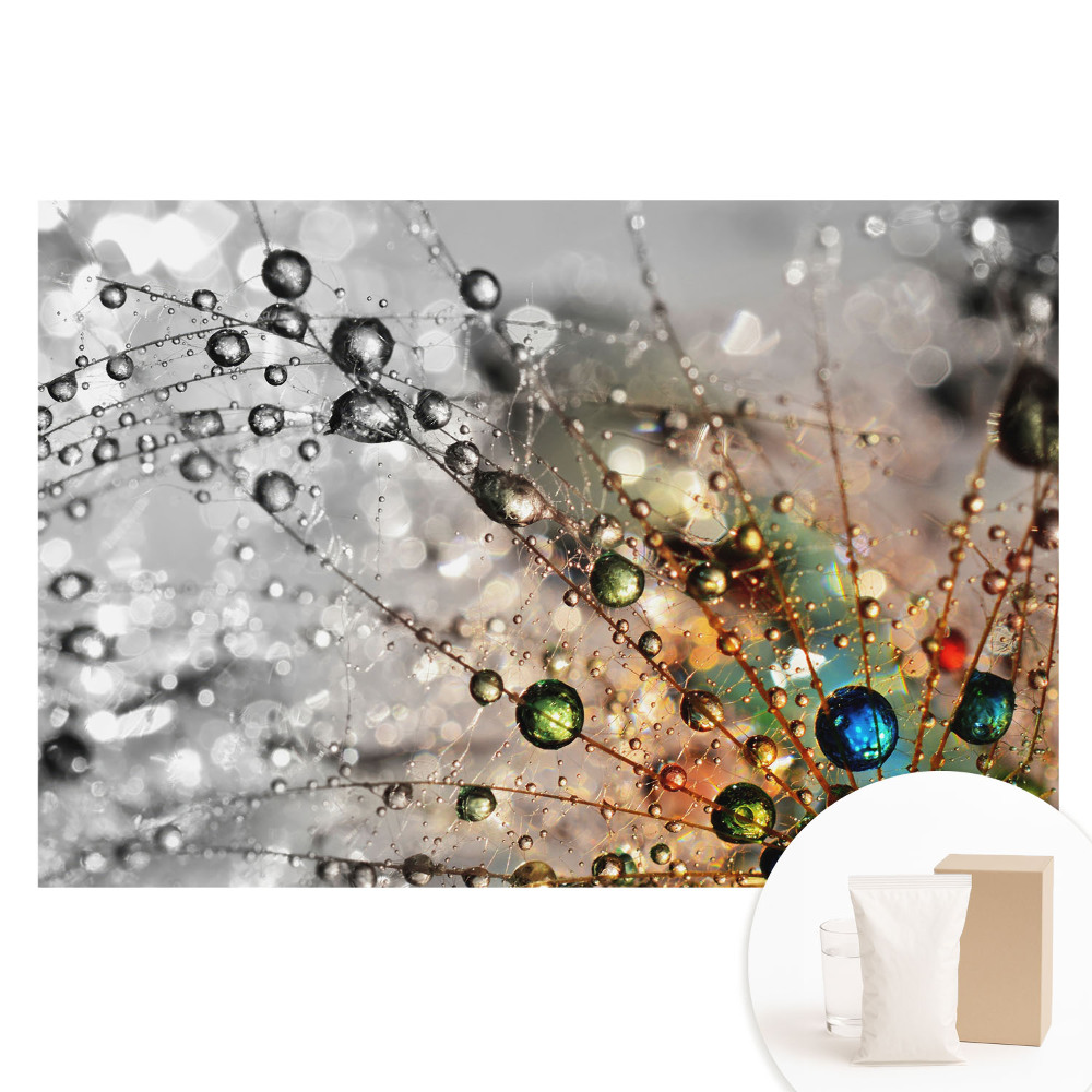 Netkaná tapeta s potlačou Farby kvapiek na pavučine