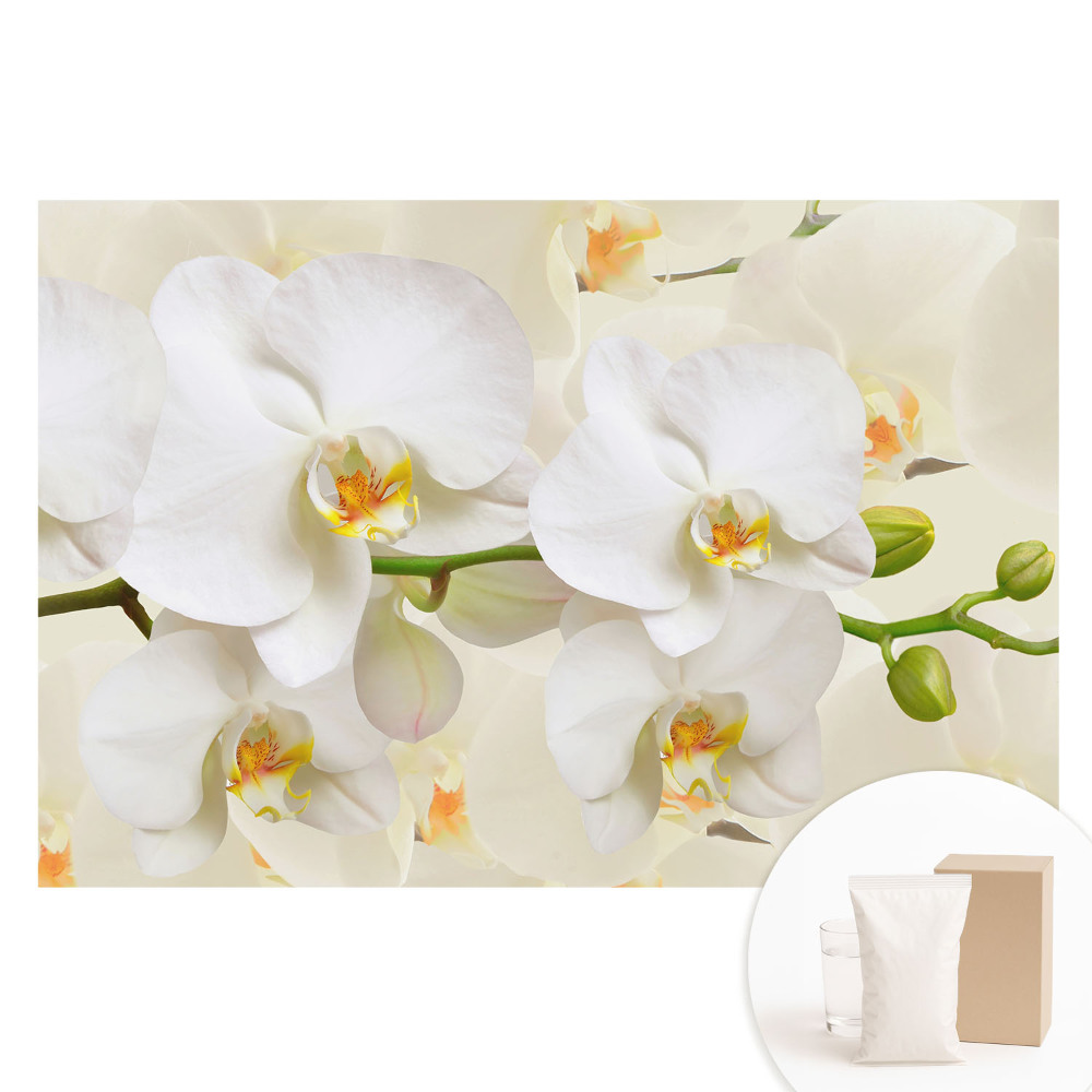 Netkaná tapeta Biele orchidey v modernom štýle, sviežosť