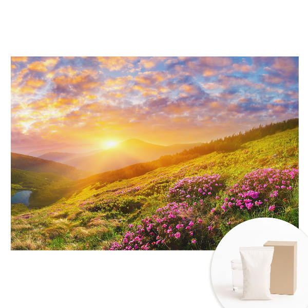 Netkaná tapeta Kvety v horách pri západe slnka