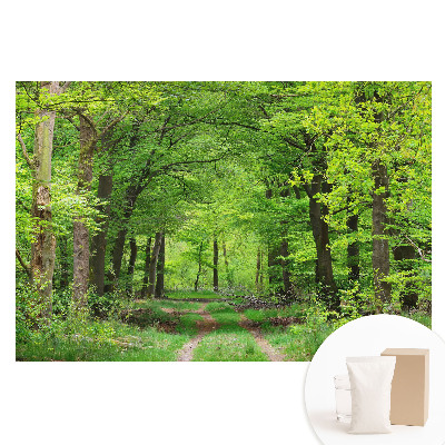 Veľkoplošná fototapeta na stenu s motívom harmonickej scenérie zeleného lesa