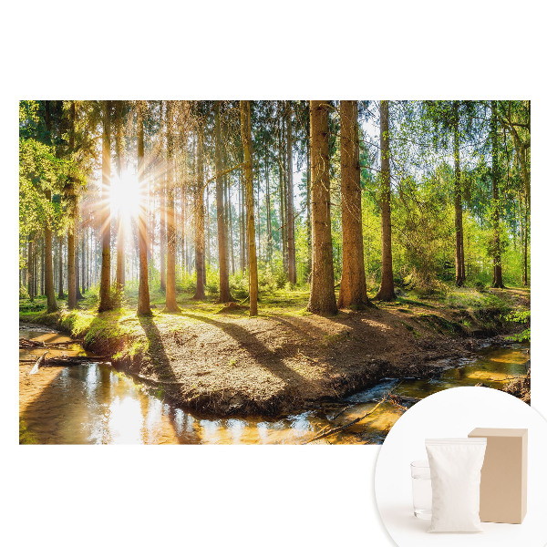 Fototapeta s potlačou na netkanej textílii Žiariace slnko v lesnej krajine